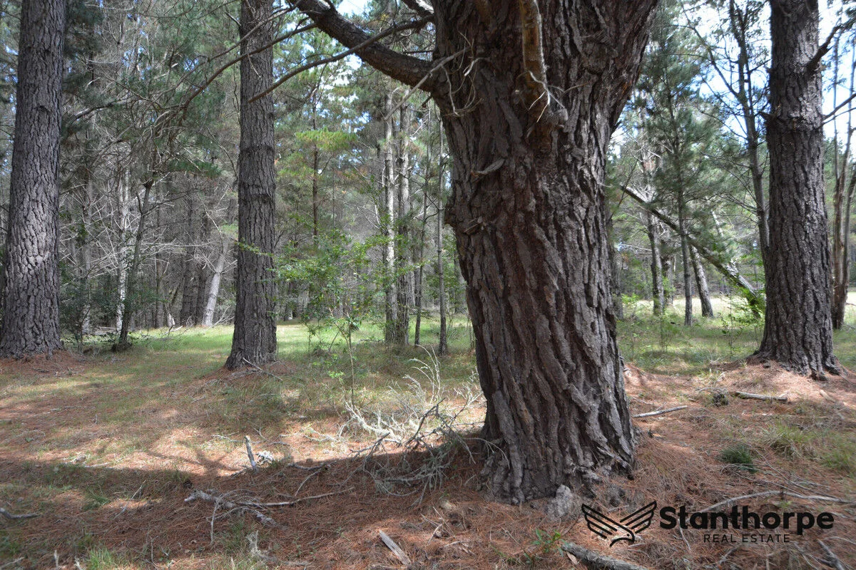 Additional image 17 of 240 Panoramic Drive, Sugarloaf QLD 4380