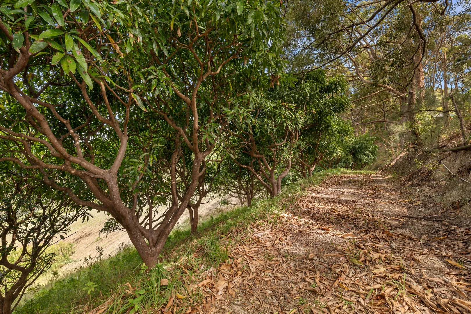 Additional image 6 of 23 Jordans Way, Korora NSW 2450