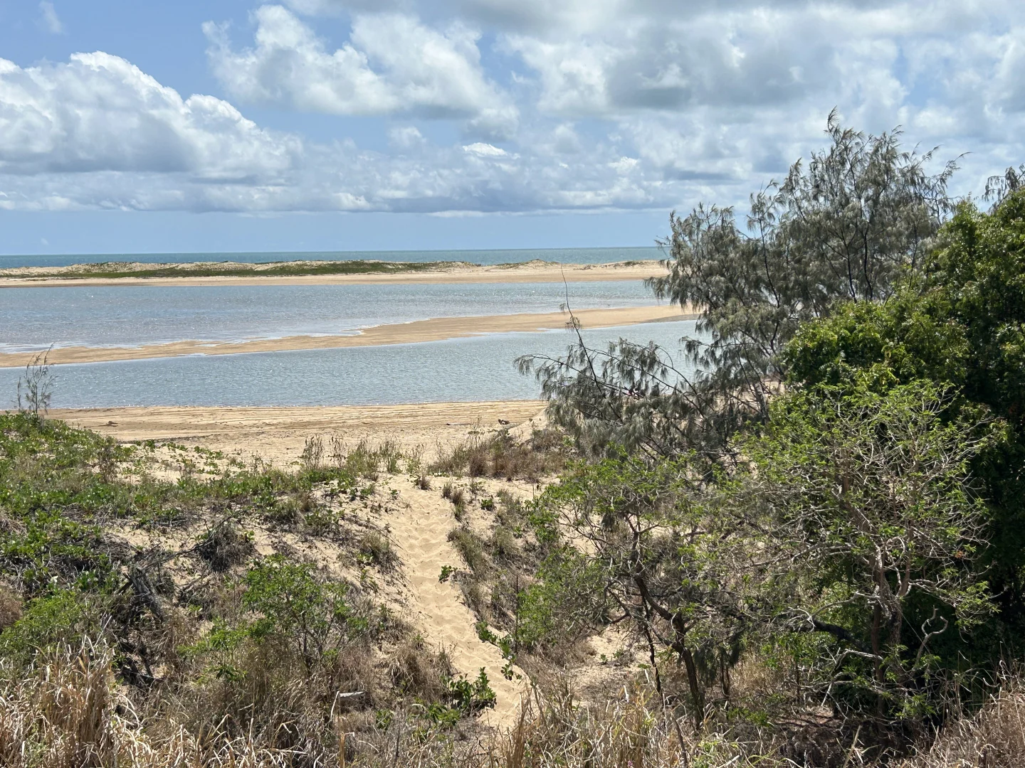 Additional image 49 of 39 Narrah Street, Alva QLD 4807