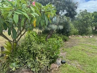 Additional image 24 of 420 Mount Bucca Road, Abbotsford QLD 4670