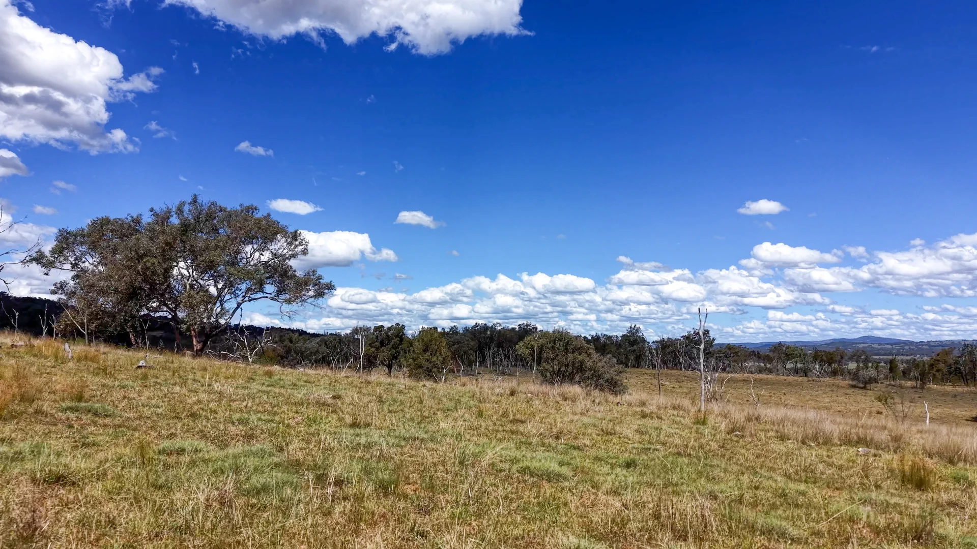 Additional image 14 of Lot 570 Tarban Road, Tenterfield NSW 2372