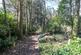Additional image 17 of Downgate, Callington