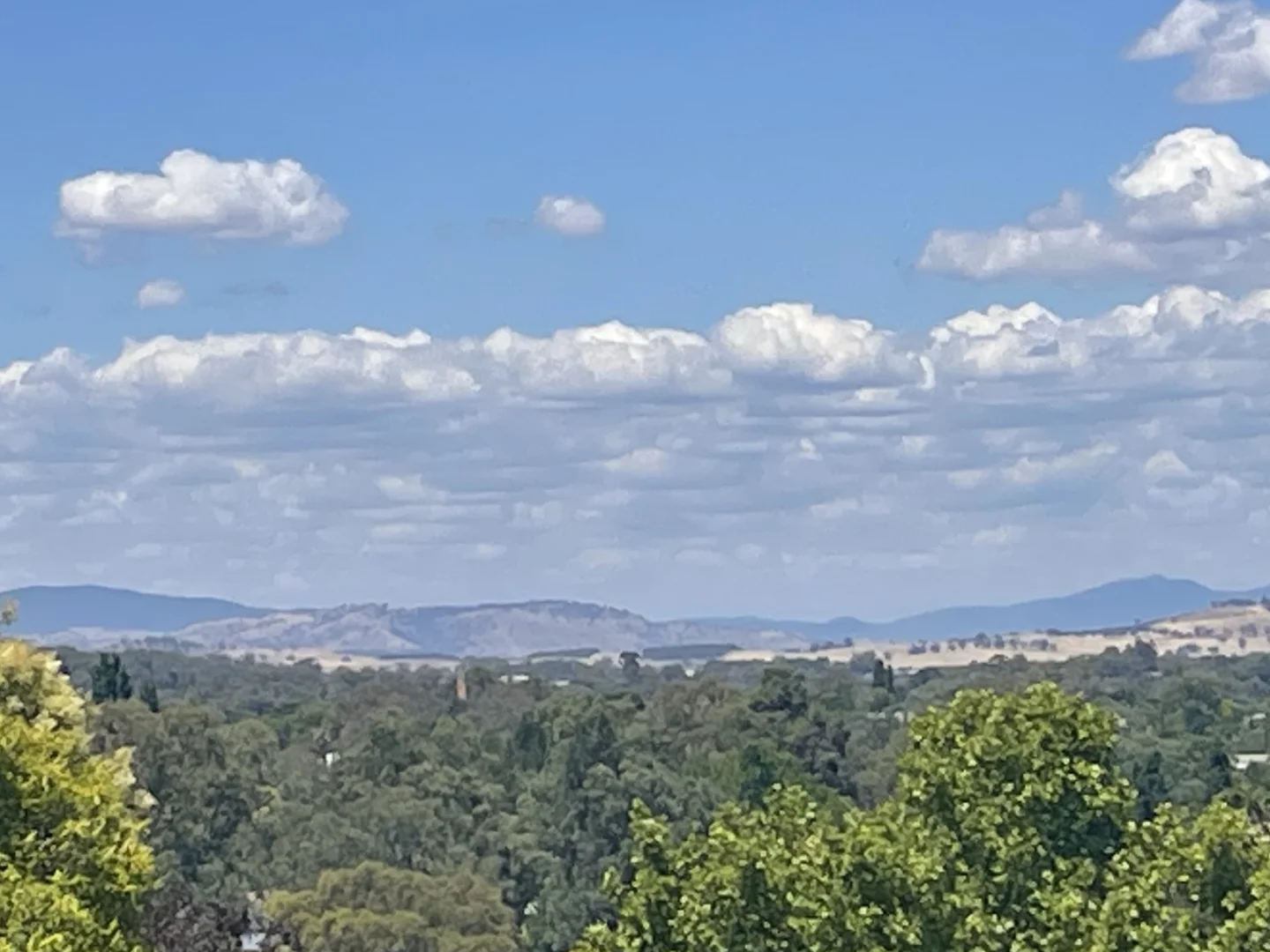 Additional image 9 of 708 Pearsall Street, Hamilton Valley NSW 2641