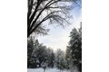 Additional image 45 of 26070 Green Acres Rd, Colfax, CA, 95713