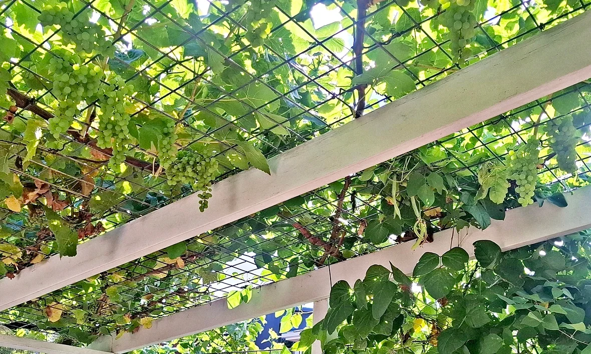 Additional image 18 of 126 George Street, Devonport TAS 7310