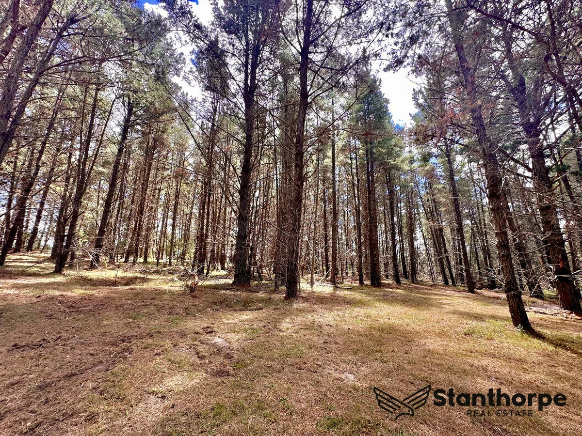 Additional image 33 of 240 Panoramic Drive, Sugarloaf QLD 4380