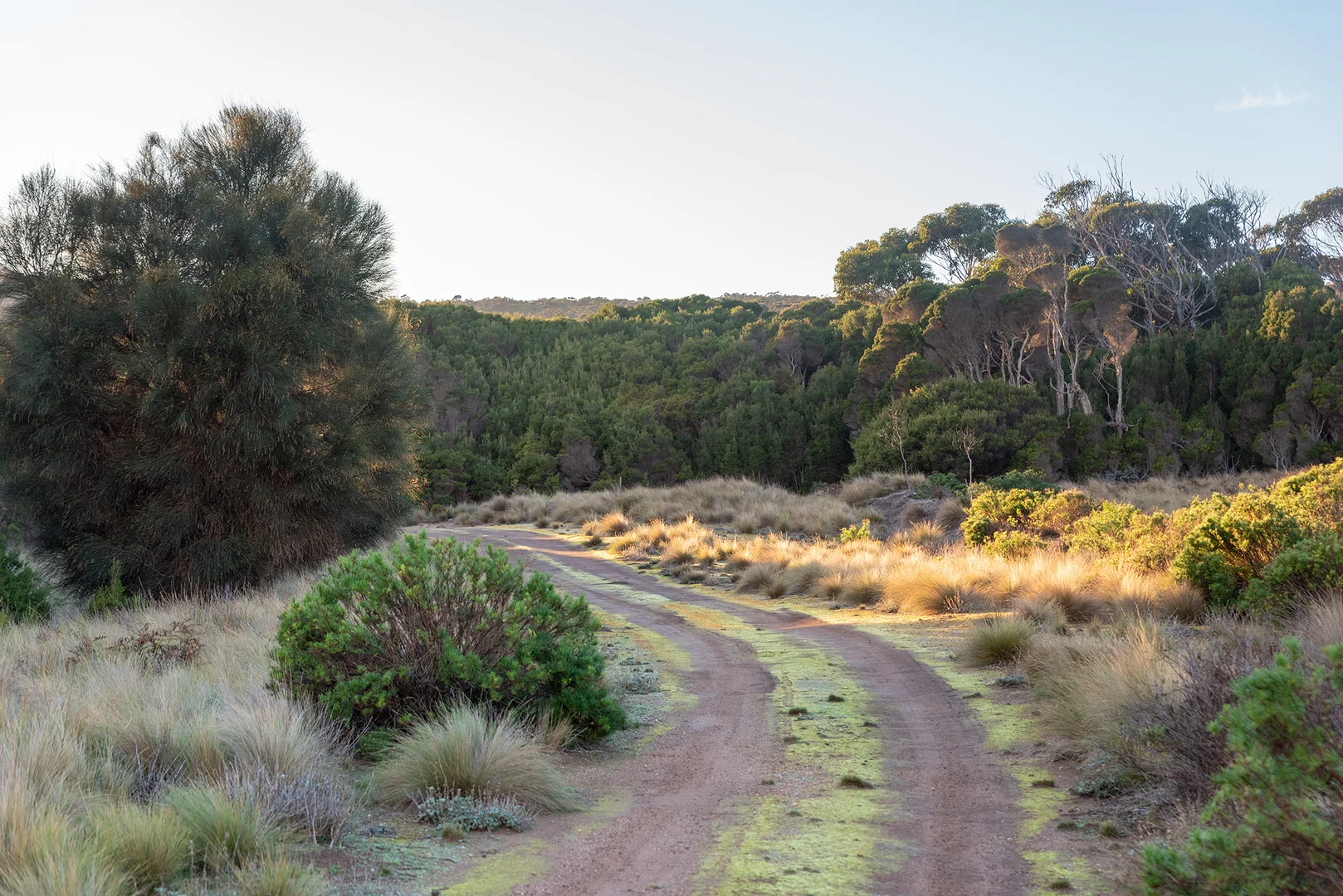 Additional image 10 of Lot 3 Boat Harbour Road, Killiecrankie TAS 7255