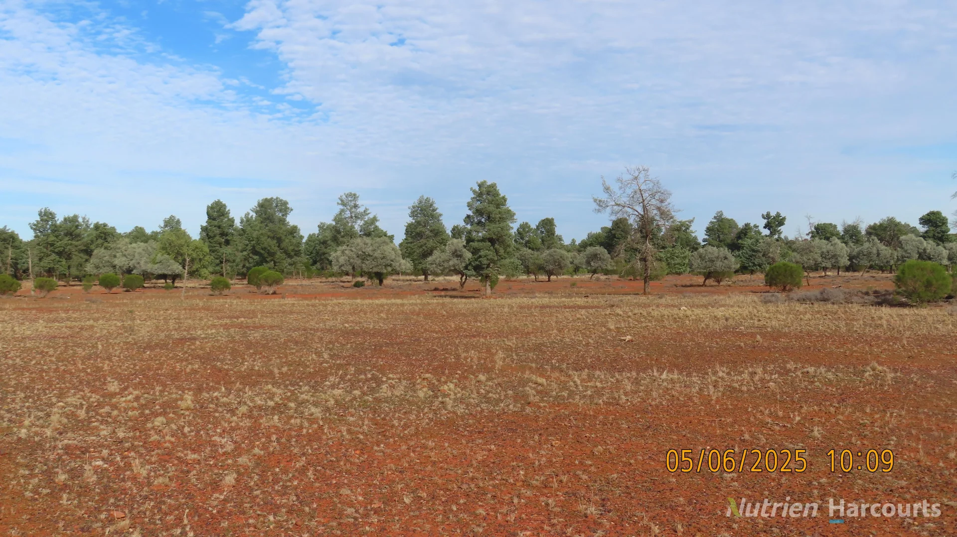 Additional image 10 of * Ryandale, Cobar NSW 2835