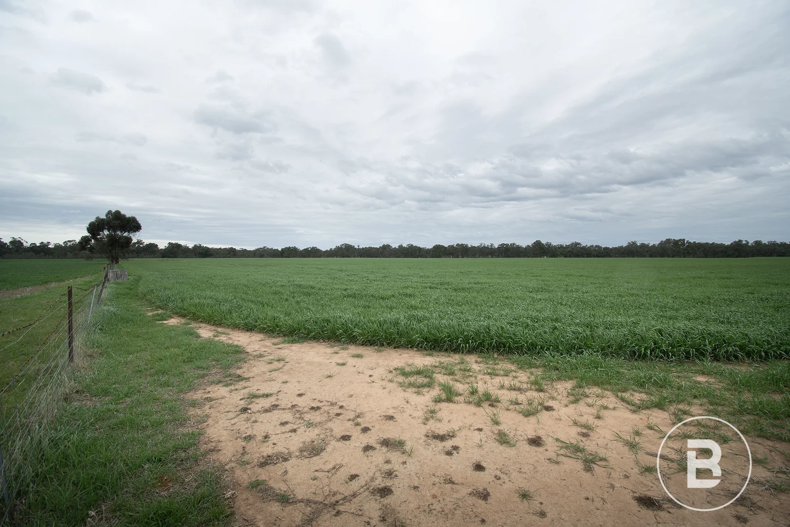 Additional image 15 of 174 Timor Bromley Road, Timor VIC 3465