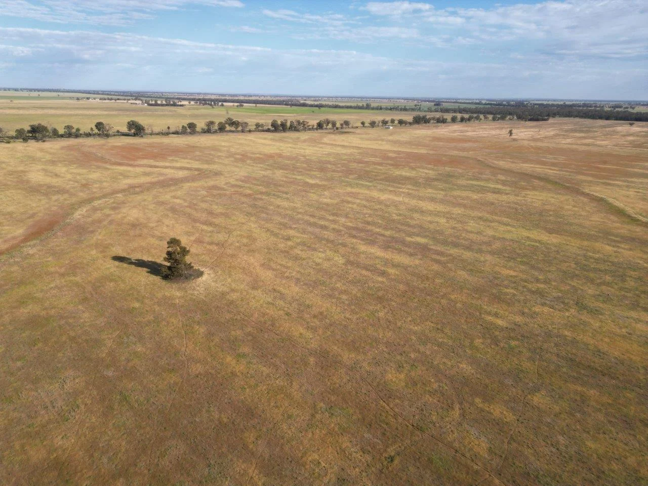 Additional image 9 of 'Cleveland' 548 Cunningtons Lane, West Wyalong NSW 2671