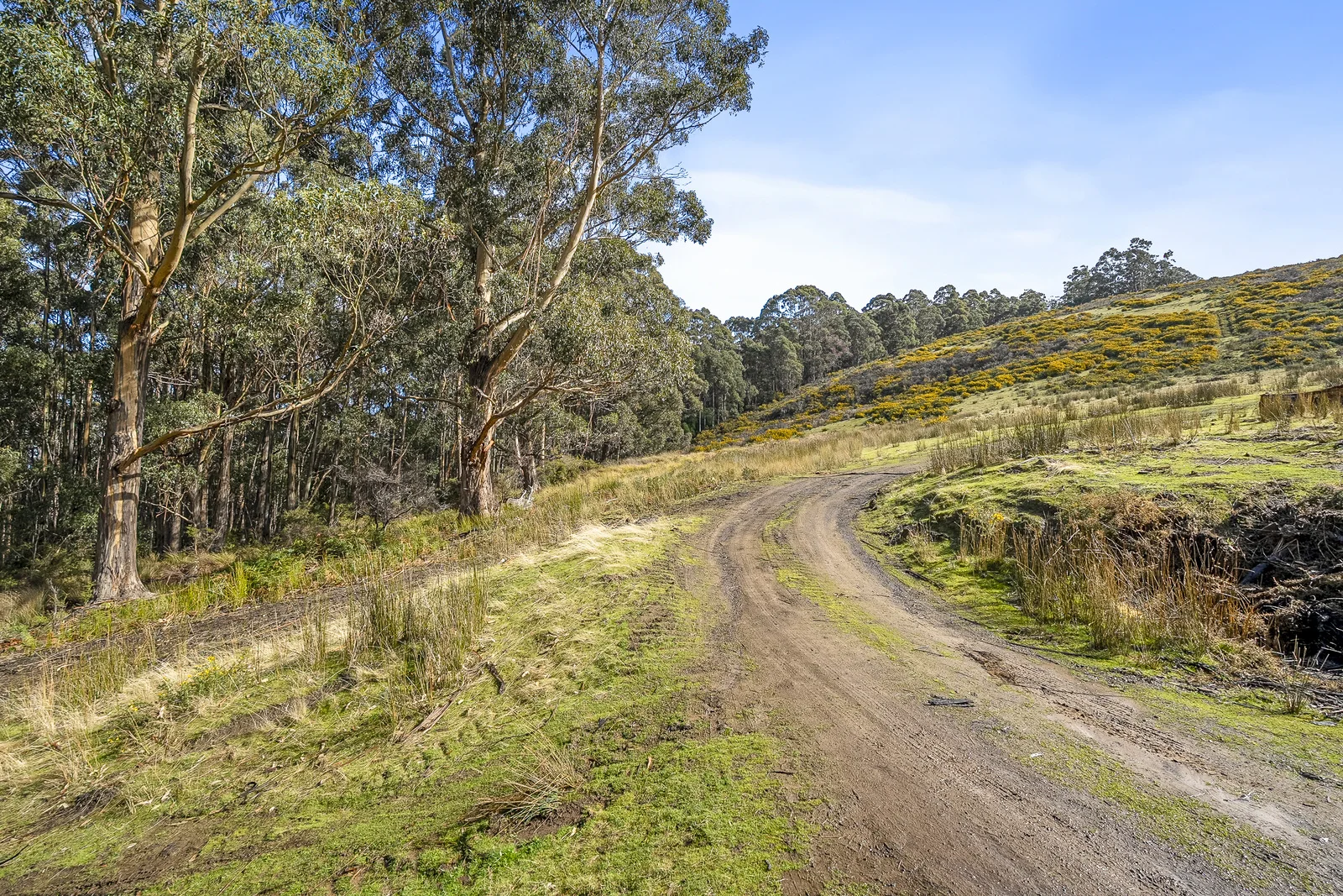 Additional image 3 of Lot 1 Longmans Road, Snug TAS 7054
