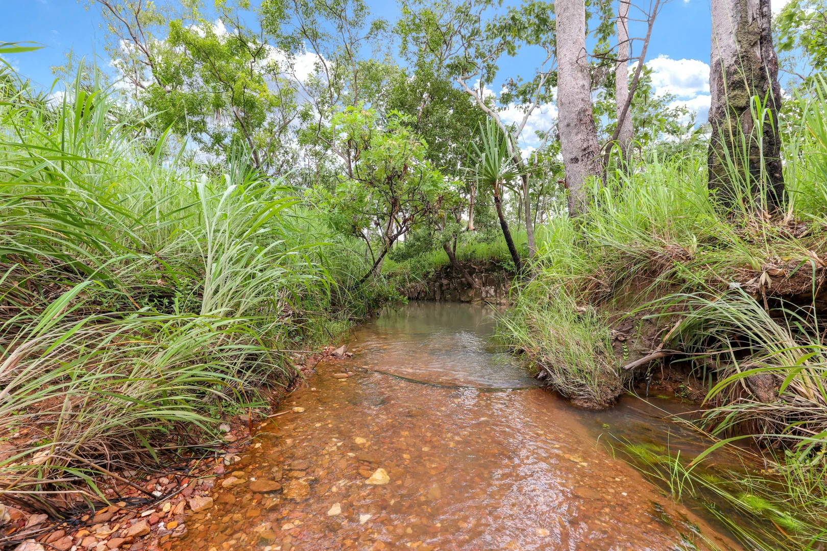 Additional image 18 of 350 Daly River Road, Robin Falls NT 0822