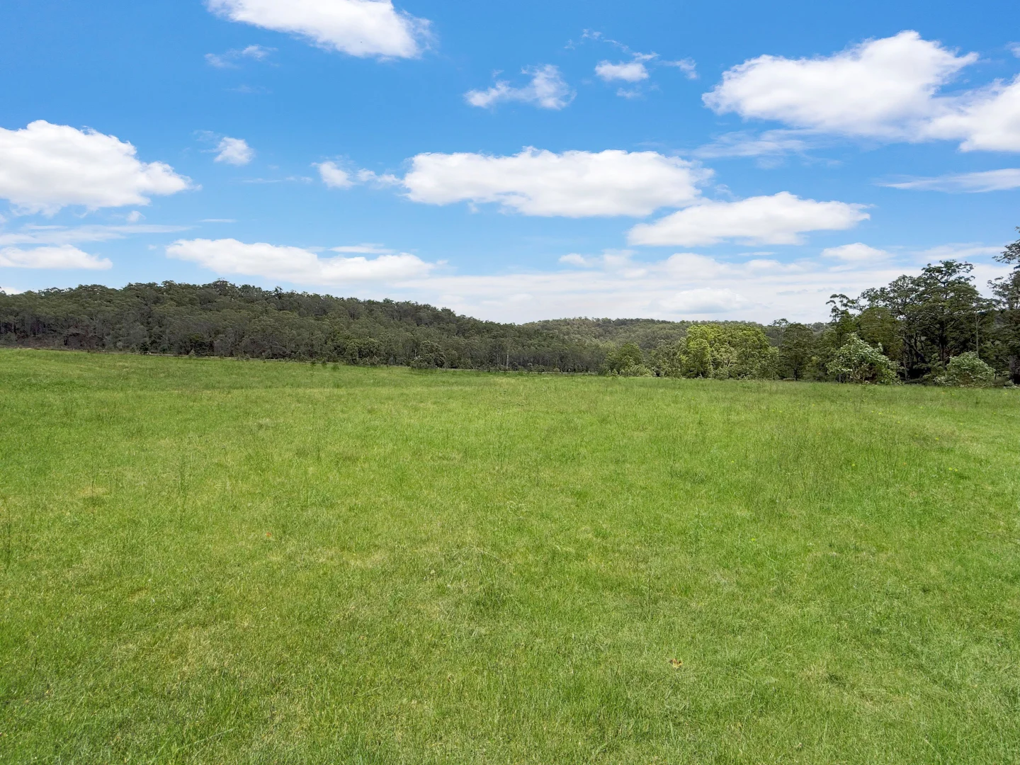 Additional image 17 of 3324 Great North Road, Wollombi NSW 2325