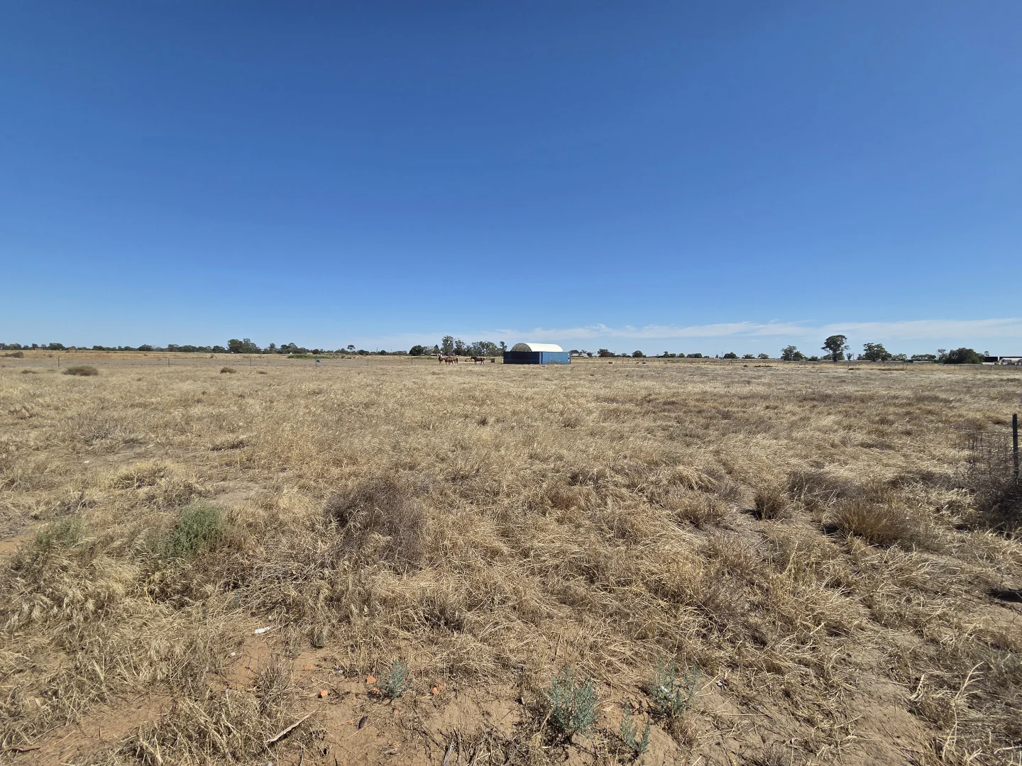 Additional image 7 of 35 Hamilton Street, Finley NSW 2713