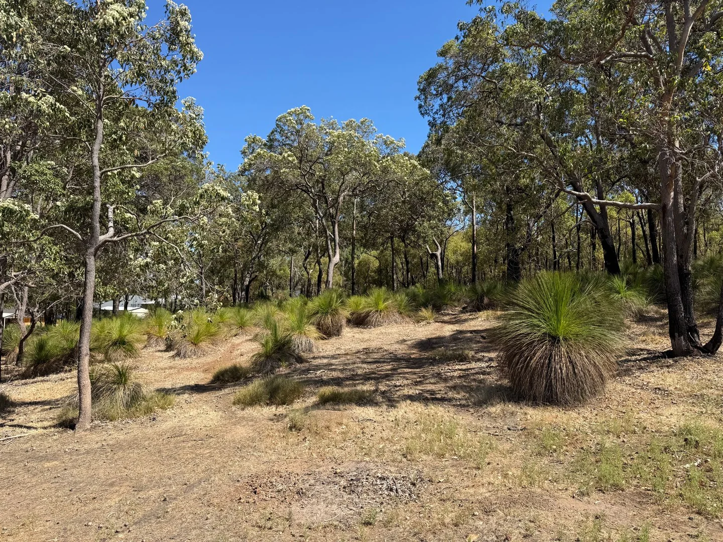 Additional image 7 of 59 Lyons Road, Waroona WA 6215