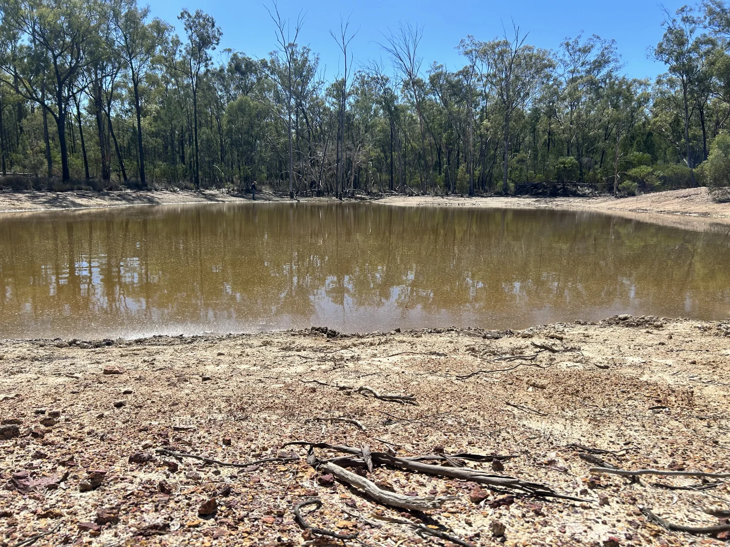 Additional image 16 of Lot 110 Biggs Rd, Coolmunda QLD 4387