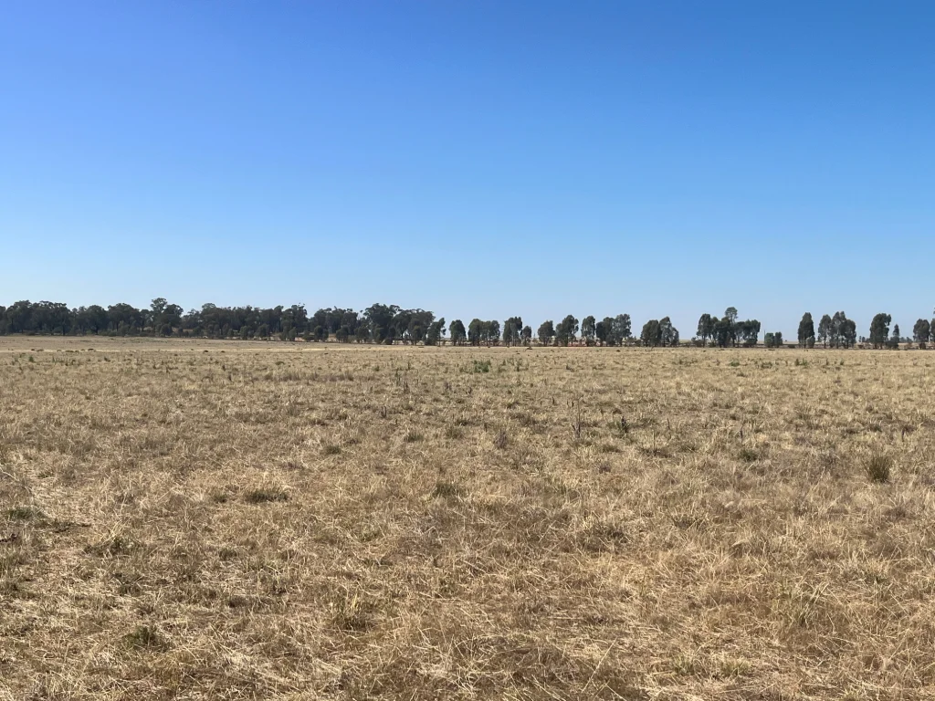 Additional image 4 of 603 Charcoal Tank Road, West Wyalong NSW 2671