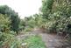 Additional image 20 of Cannon Street, Little Downham CB6