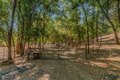 Additional image 62 of 2988 Spring Hill Dr, San Andreas, CA, 95249