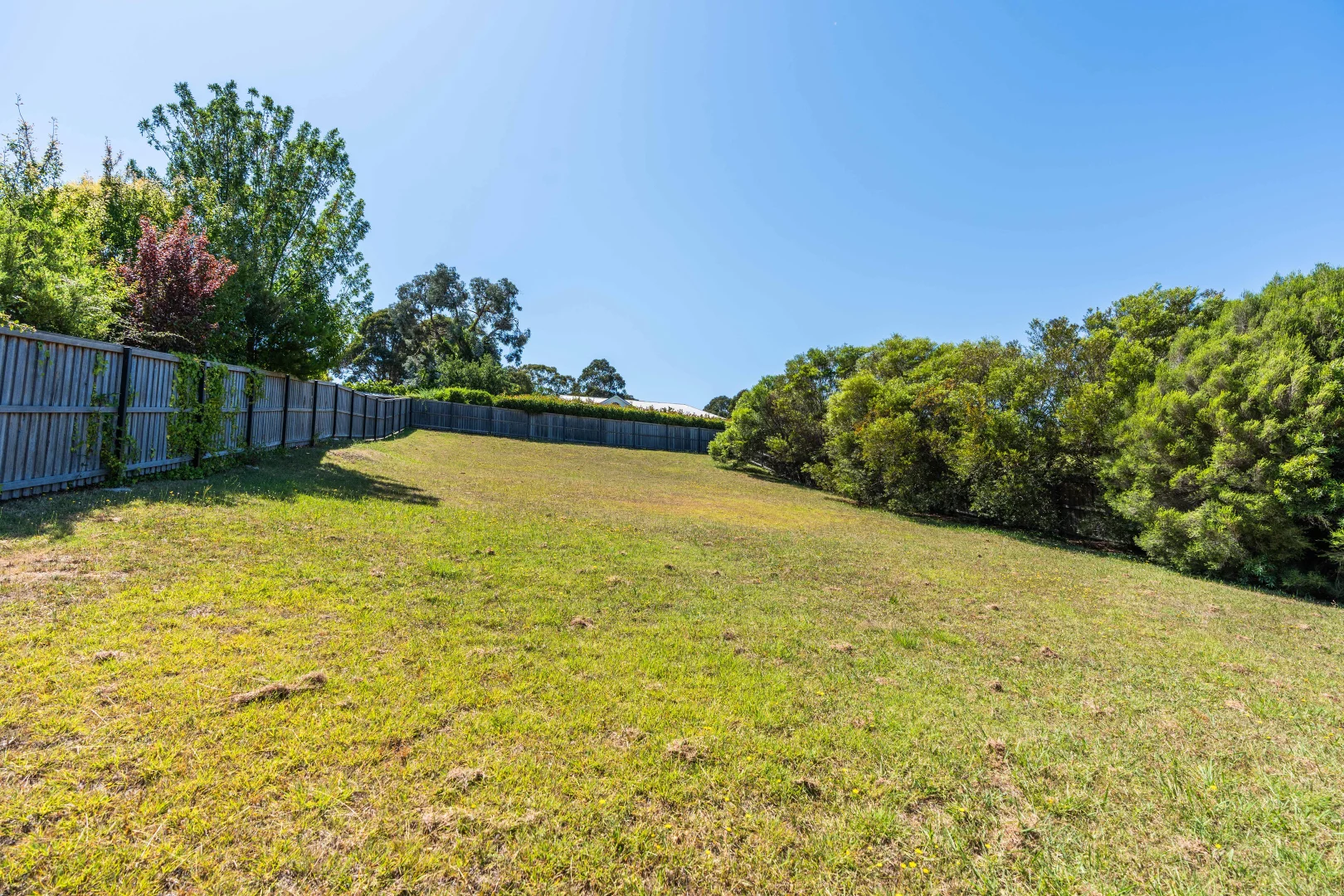 Additional image 6 of 26 Wolsley Street, Orange NSW 2800