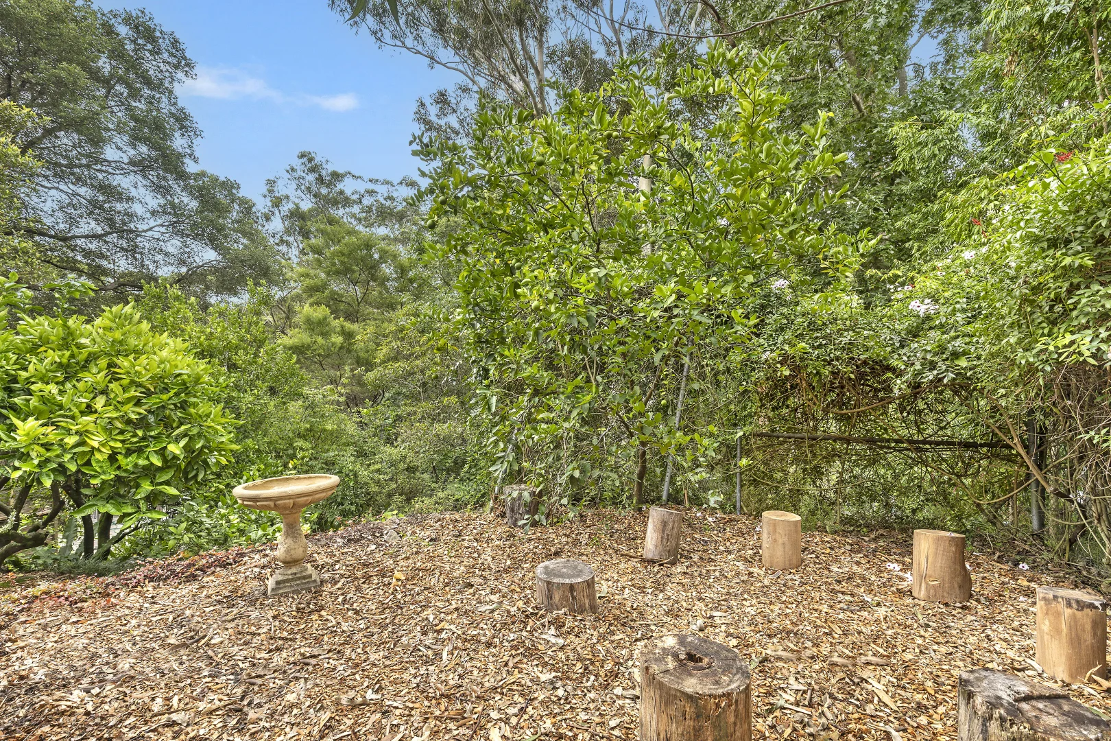 Additional image 10 of 39 Johnston Crescent, Lane Cove NSW 2066