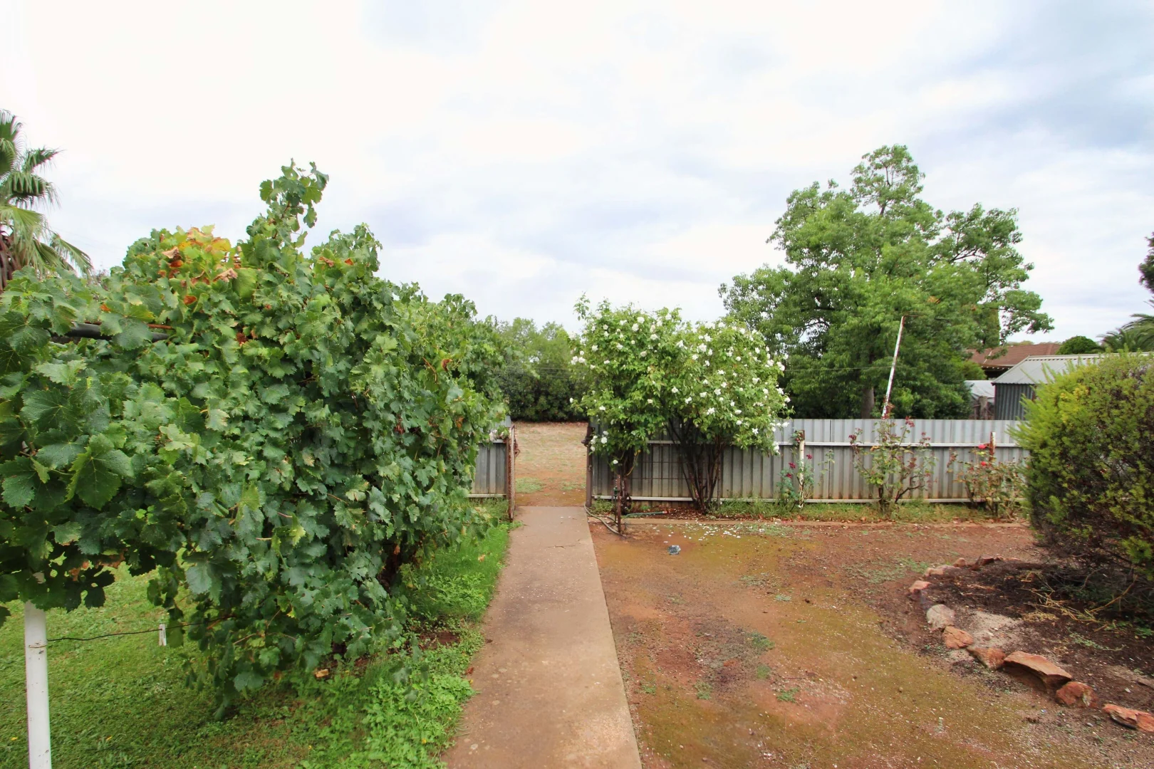 Additional image 25 of 8 Sixth Street, Booborowie SA 5417