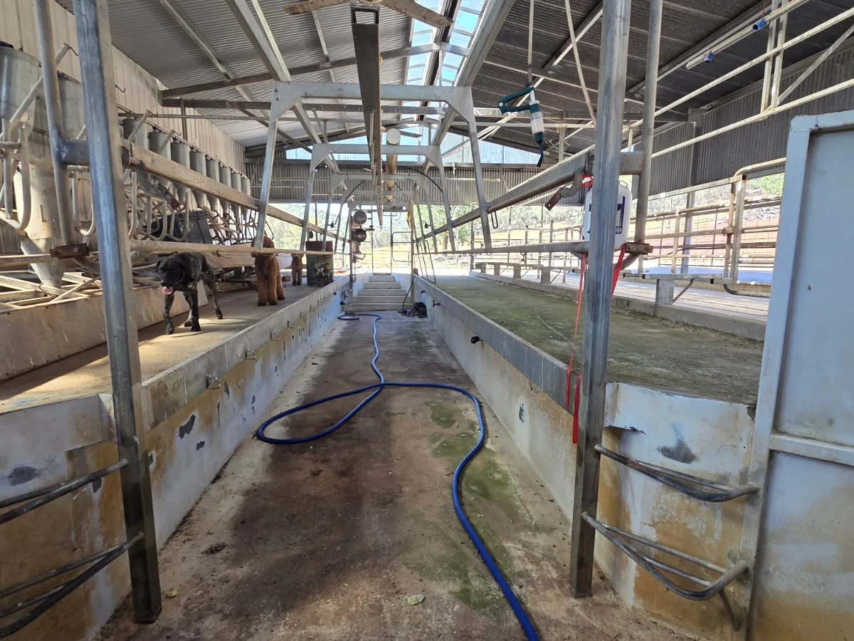 Additional image 23 of 1046 Little Snowy Creek Road, Eskdale VIC 3701