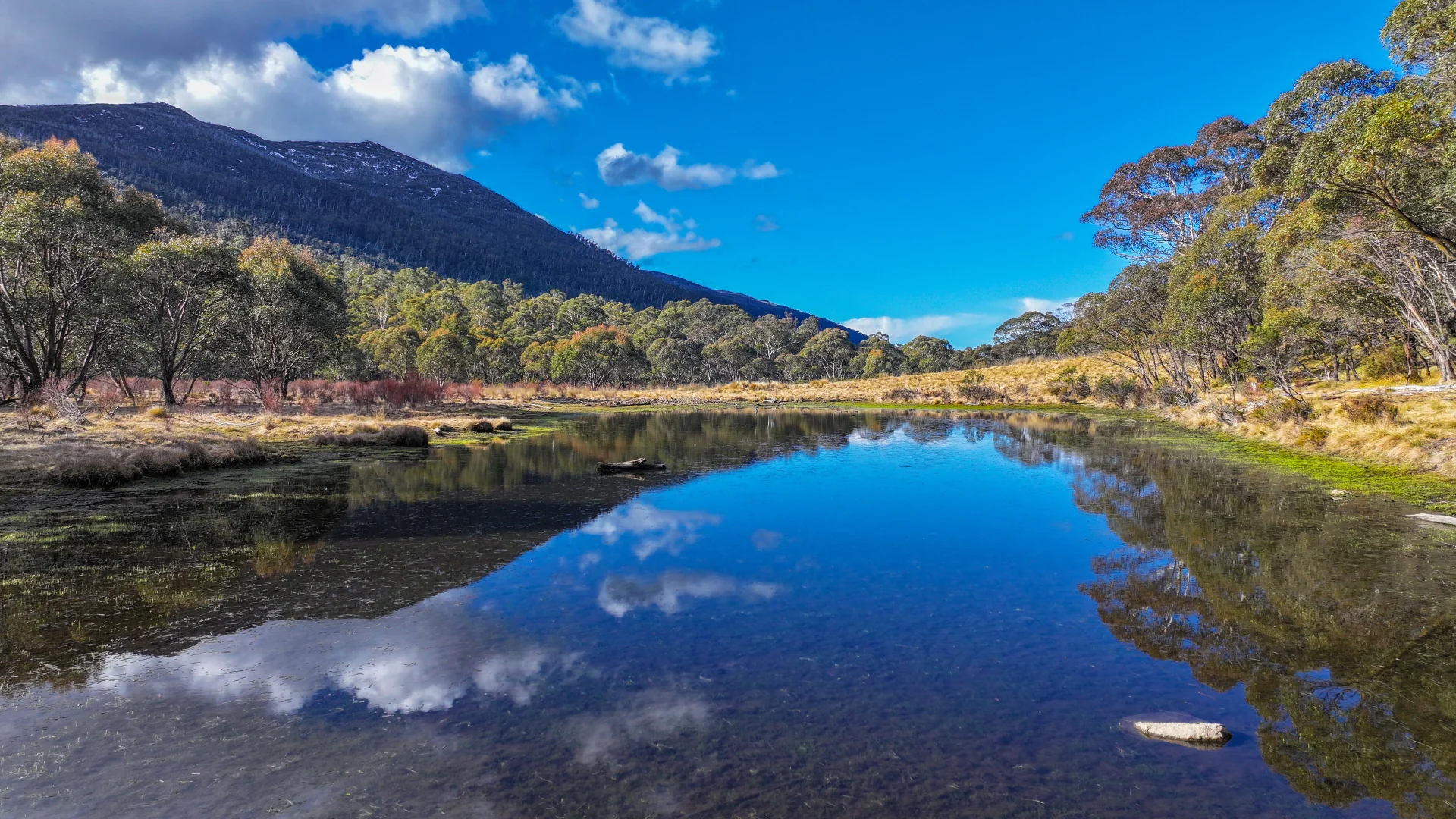 Additional image 5 of Bondilla 1638 Alpine Way, Crackenback NSW 2627