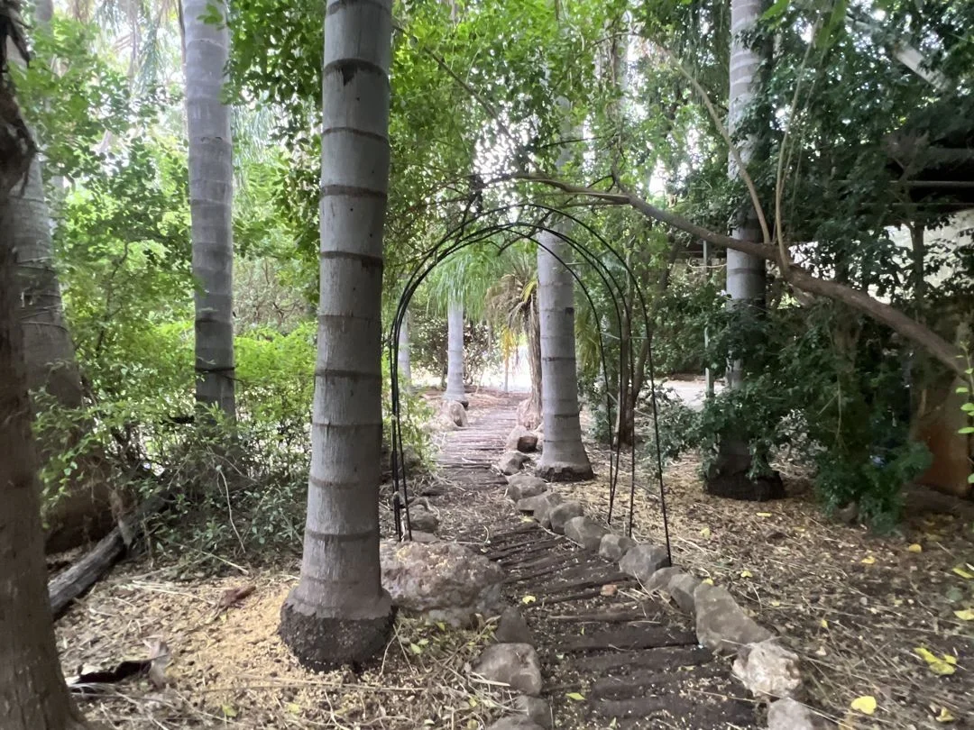 Additional image 18 of 5 Cameron Place, Moree NSW 2400