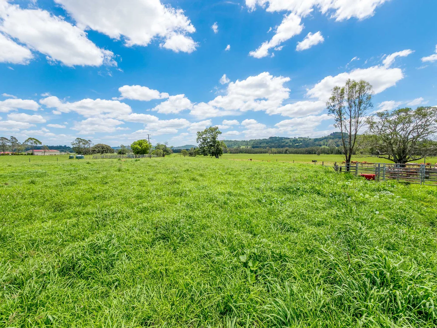 Additional image 13 of 933 Bruxner Highway, South Gundurimba NSW 2480