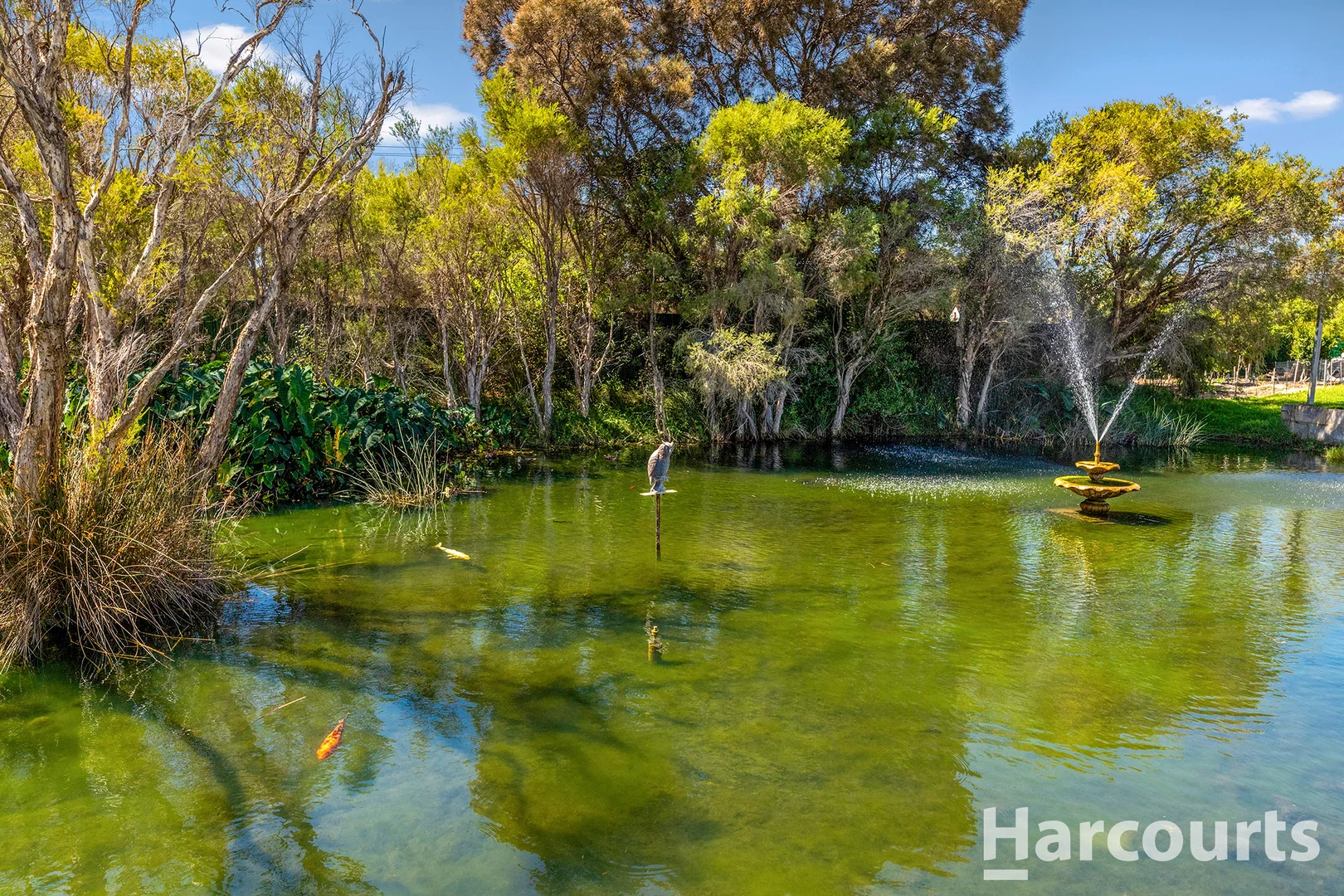 Additional image 13 of 31/445 Pinjarra Road, Coodanup WA 6210