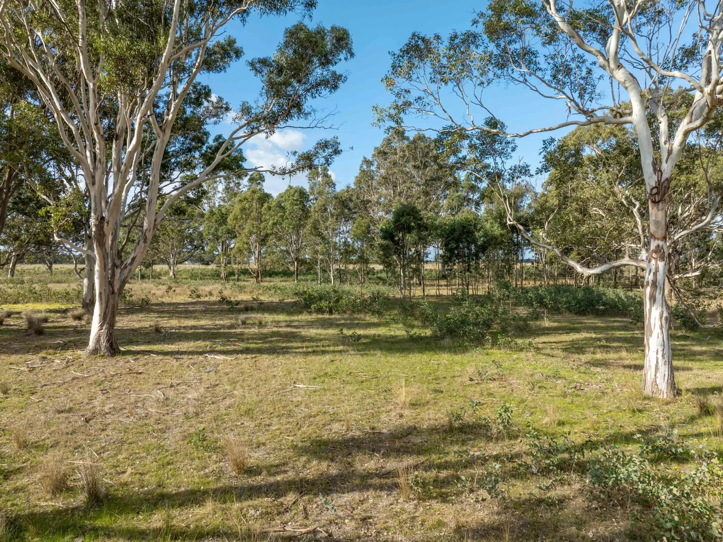 Additional image 16 of 2/488A Bengworden Road, Bairnsdale VIC 3875