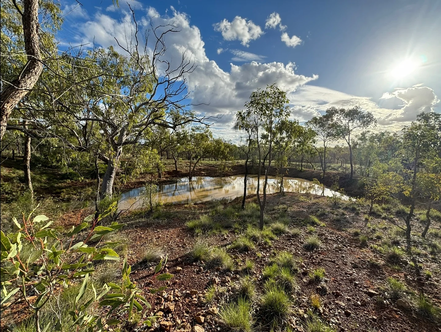 Additional image 14 of Lot 12 Capricorn Highway, Jericho QLD 4728