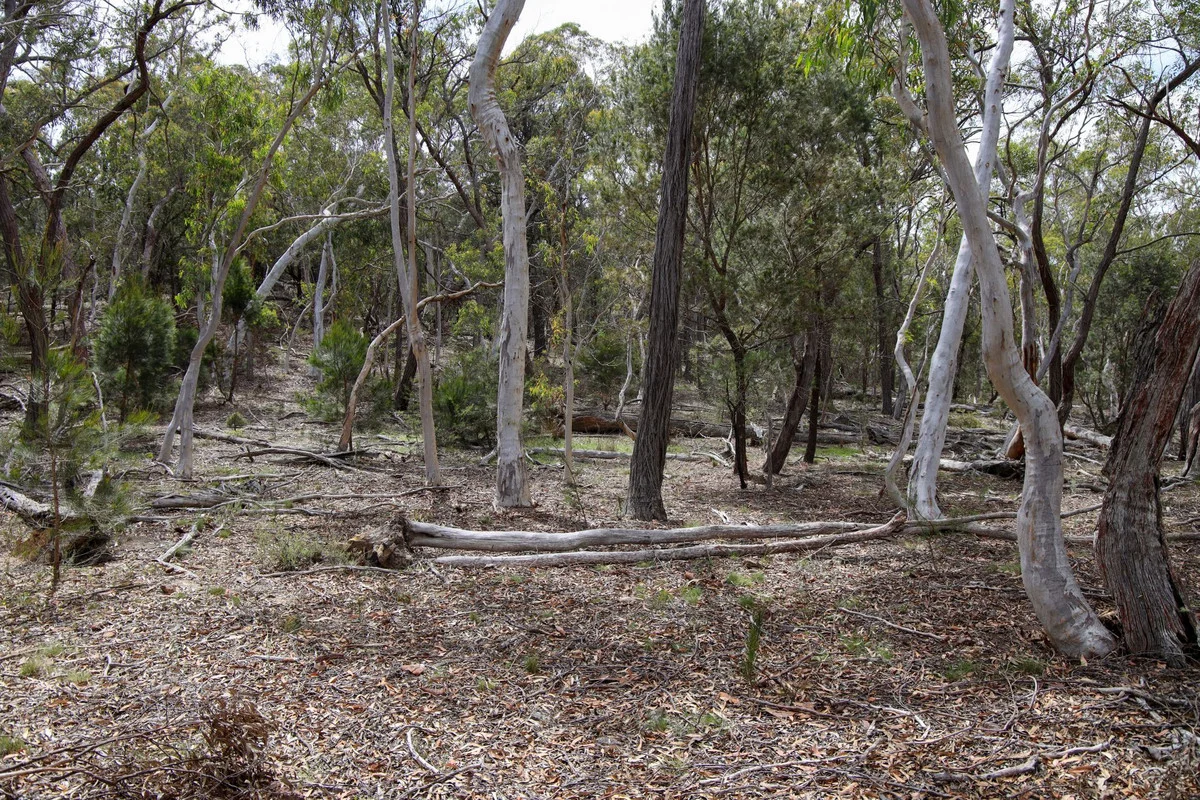 Additional image 11 of 1887 Oallen Ford Road, Oallen NSW 2622