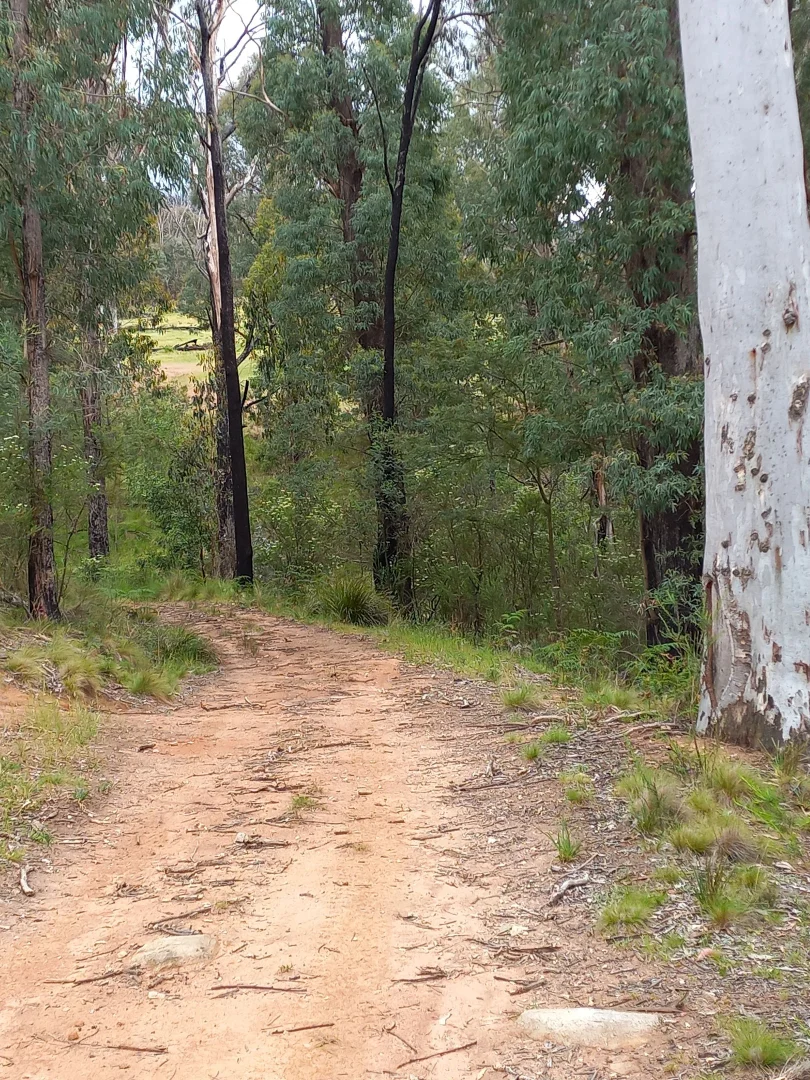 Additional image 5 of Lot 10/714 Yenschs Road, Lankeys Creek NSW 2644