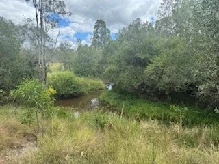 Additional image 22 of 420 Mount Bucca Road, Abbotsford QLD 4670