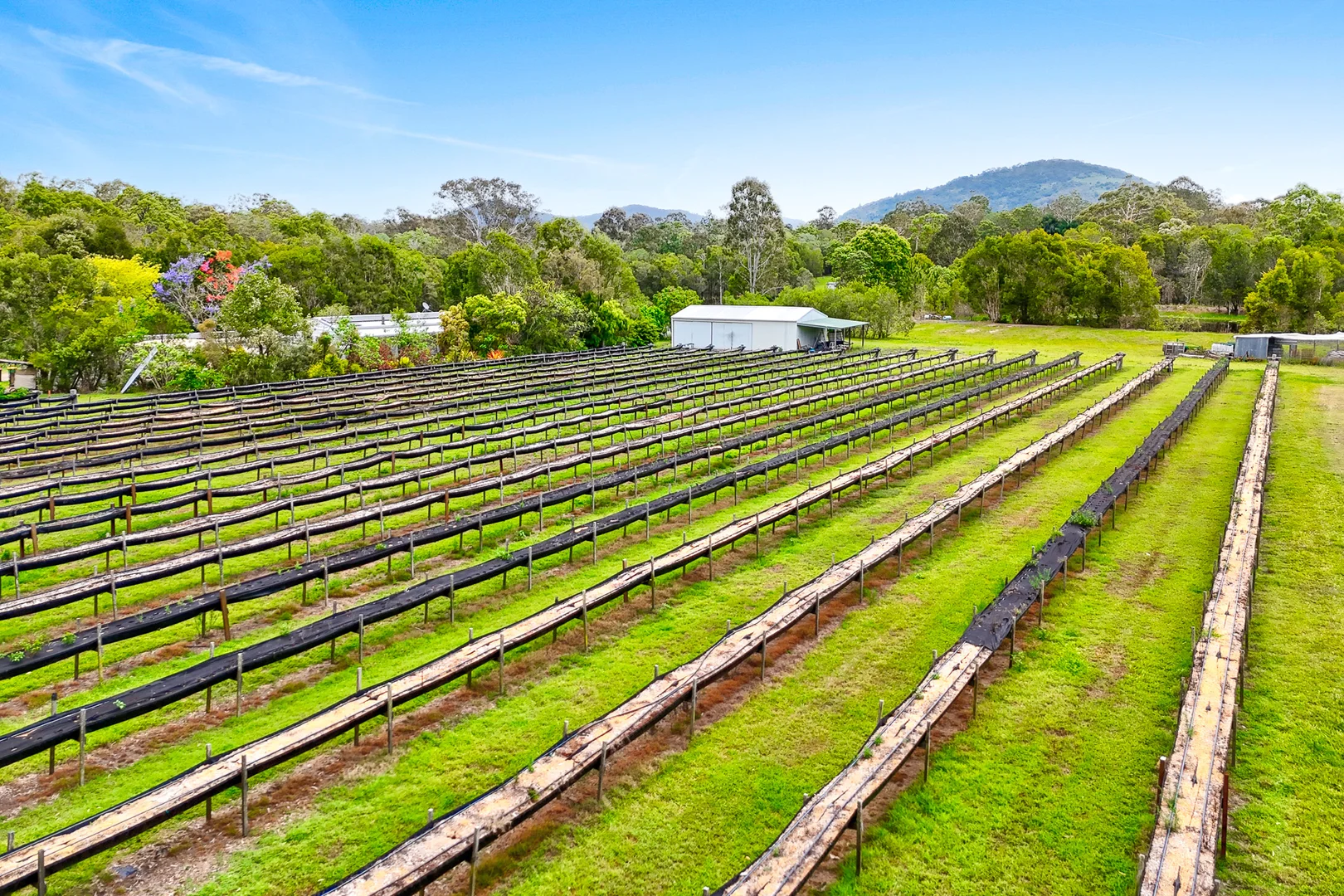 Additional image 30 of 197 Stephan Road, Goomboorian QLD 4570