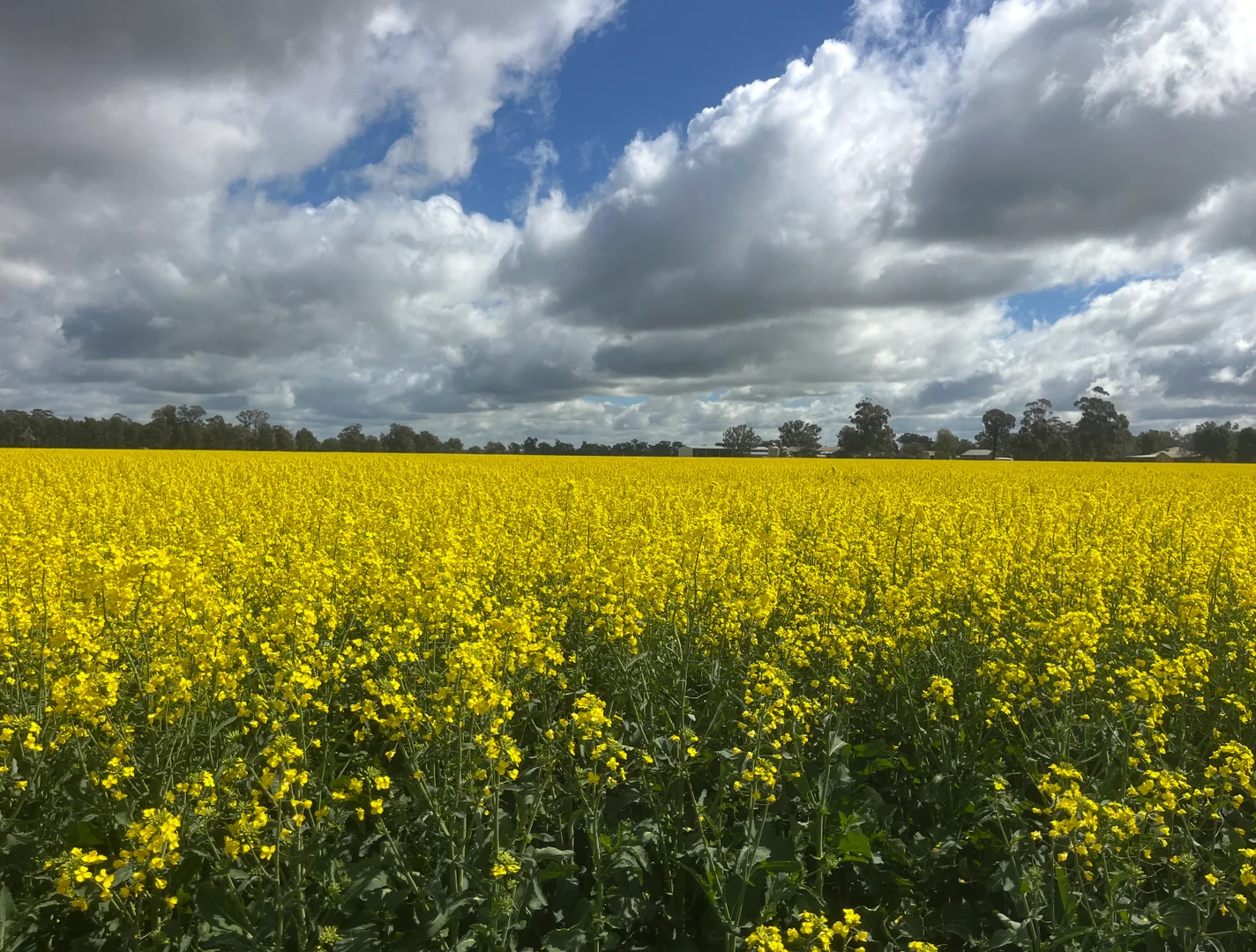 Additional image 19 of 349 Warregal Road, Parkes NSW 2870