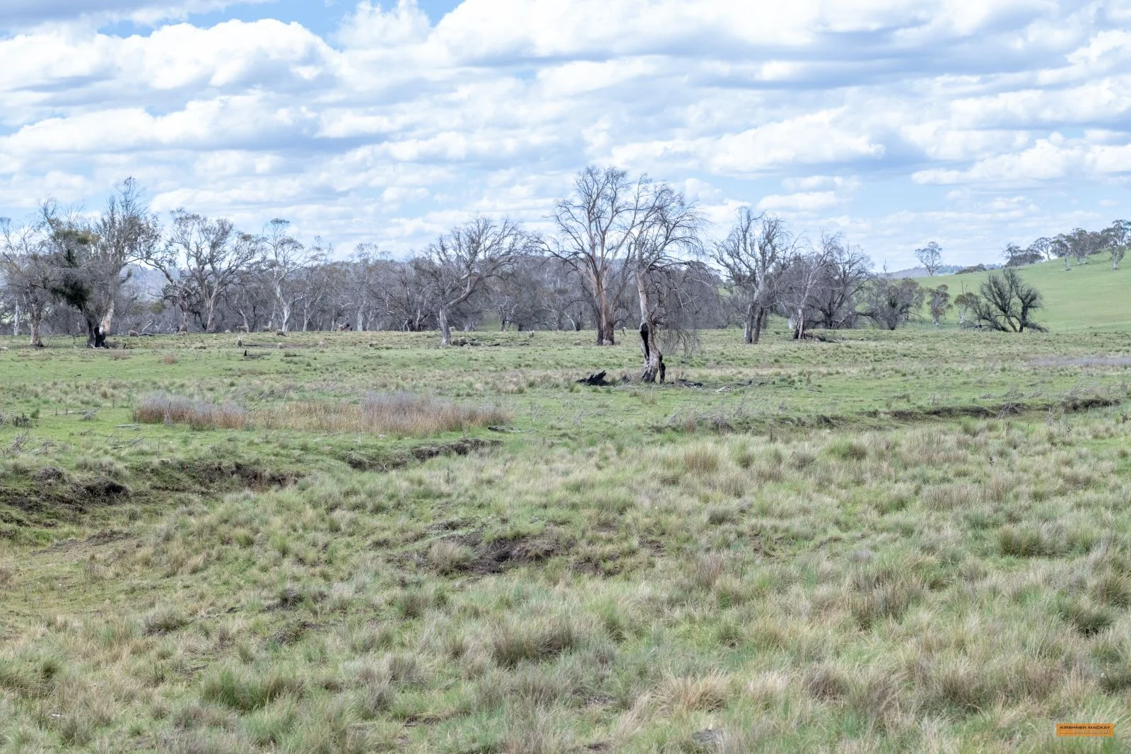 Additional image 12 of Lot 6 Avonside Road, Avonside NSW 2628