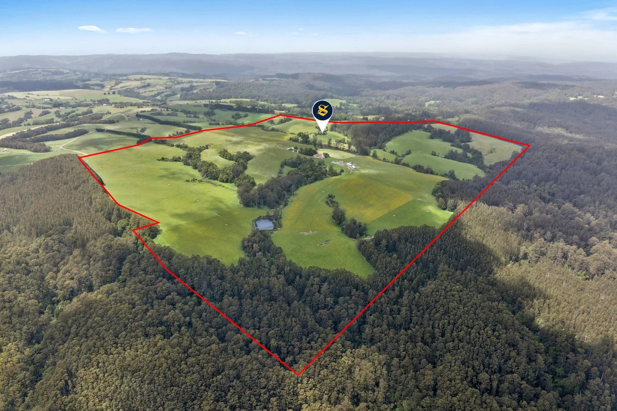 4230 Colac-Lavers Hill Road, Weeaproinah VIC 3237