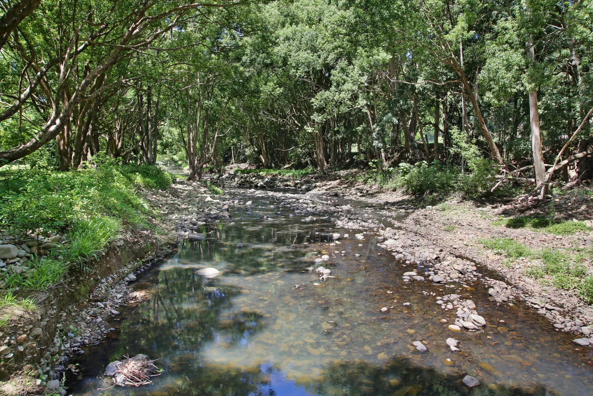 Additional image 28 of 1039 Currumbin Creek Road, Currumbin Valley QLD 4223