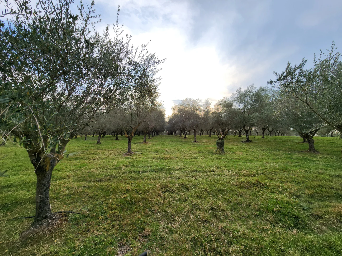 Additional image 49 of 100 Eltons Road, Silverdale NSW 2752