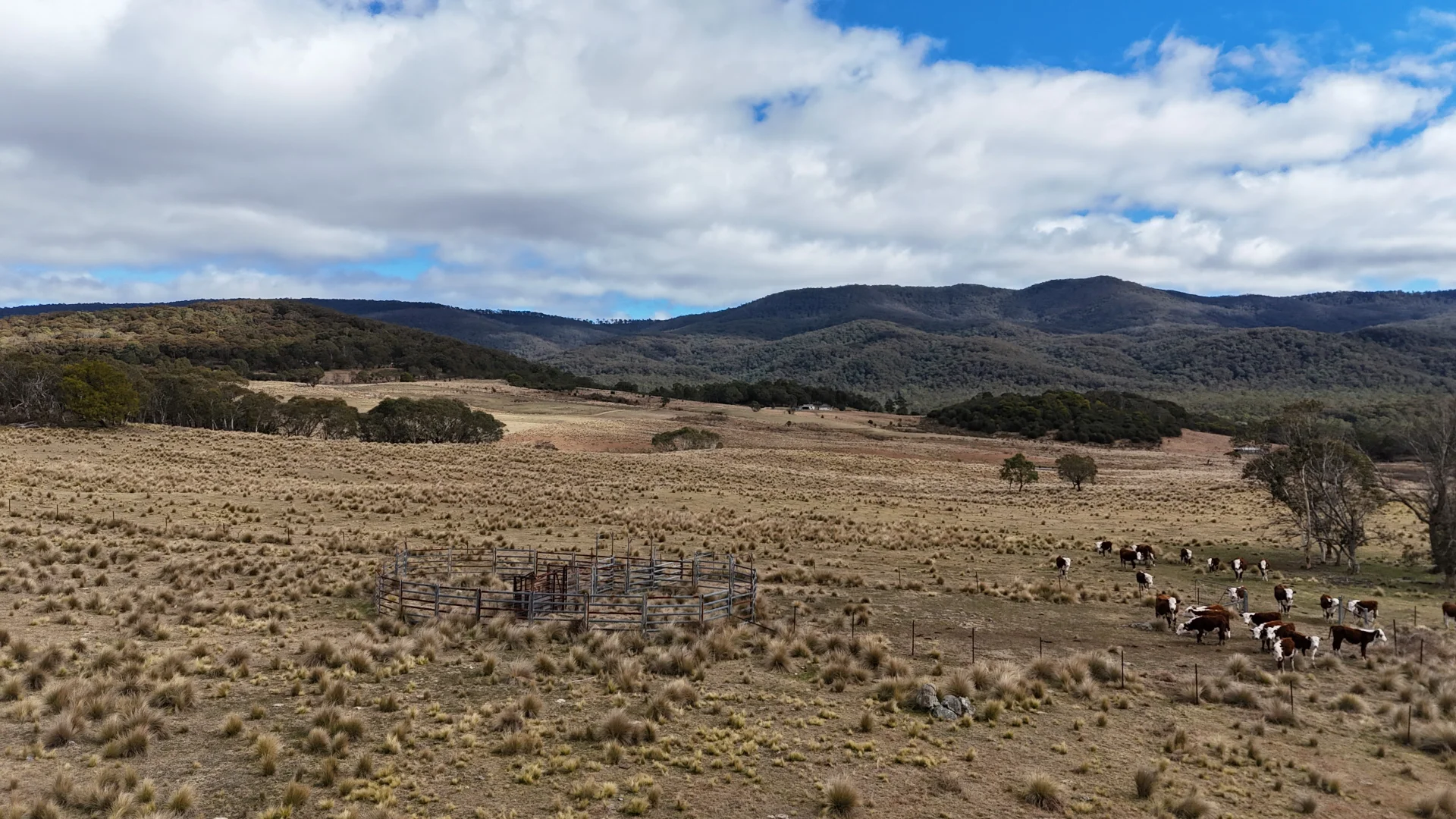 Additional image 8 of 102 Kain Cross Road, Braidwood NSW 2622