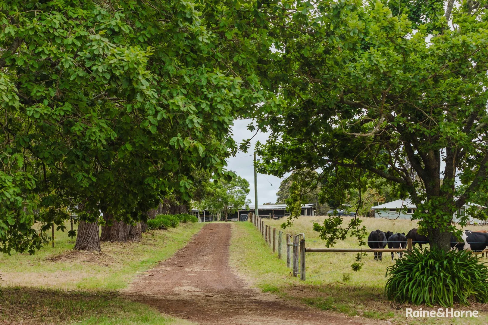 Additional image 3 of 198 Glenrowan Road, Scotsdale WA 6333
