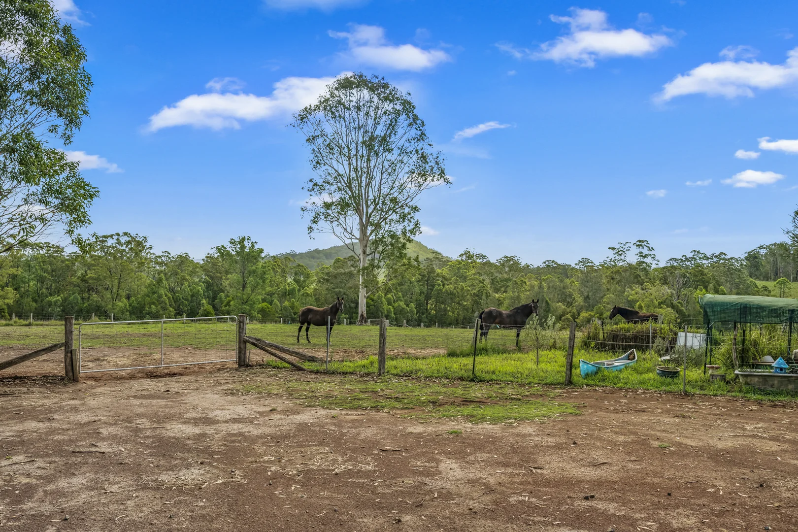 Additional image 20 of 80 Dargavilles Road, Nabiac NSW 2312