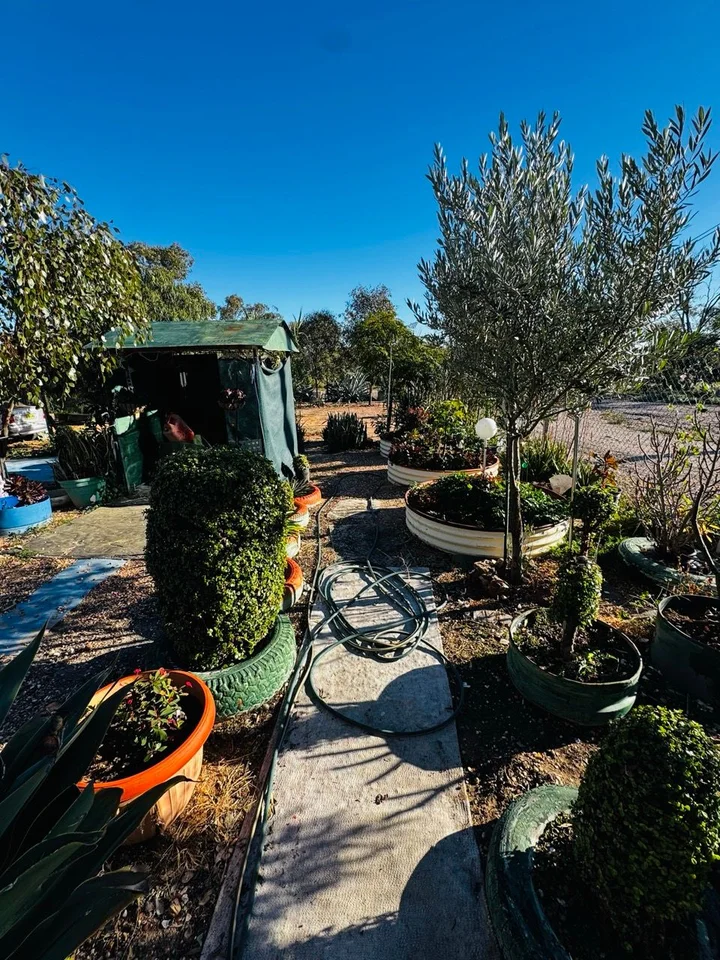 Additional image 16 of Lot 8 Wll16240, Lightning Ridge NSW 2834