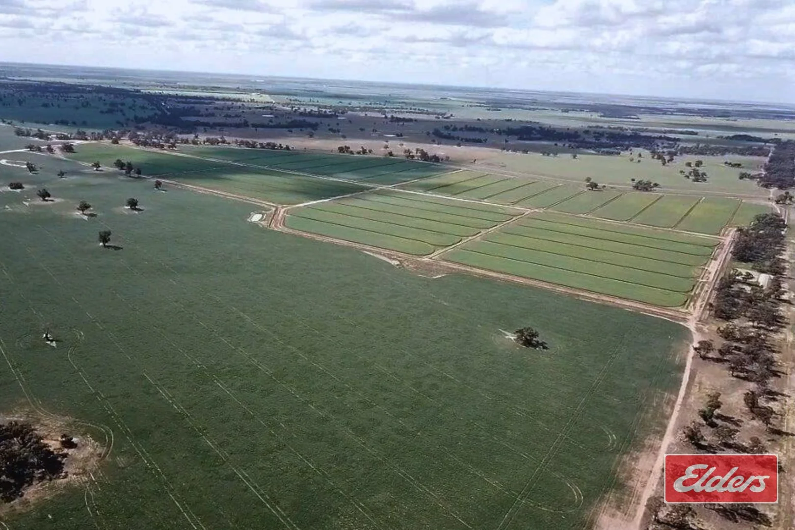 Additional image 3 of Perricoota, Bunnaloo NSW 2731