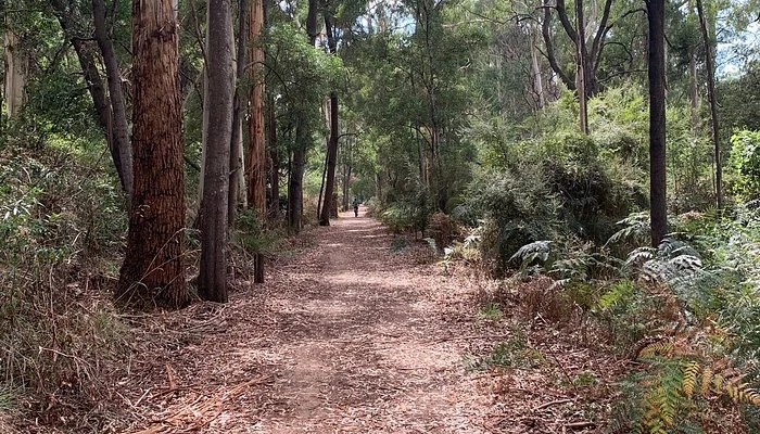 Additional image 8 of 1 Snake Track, Timboon VIC 3268