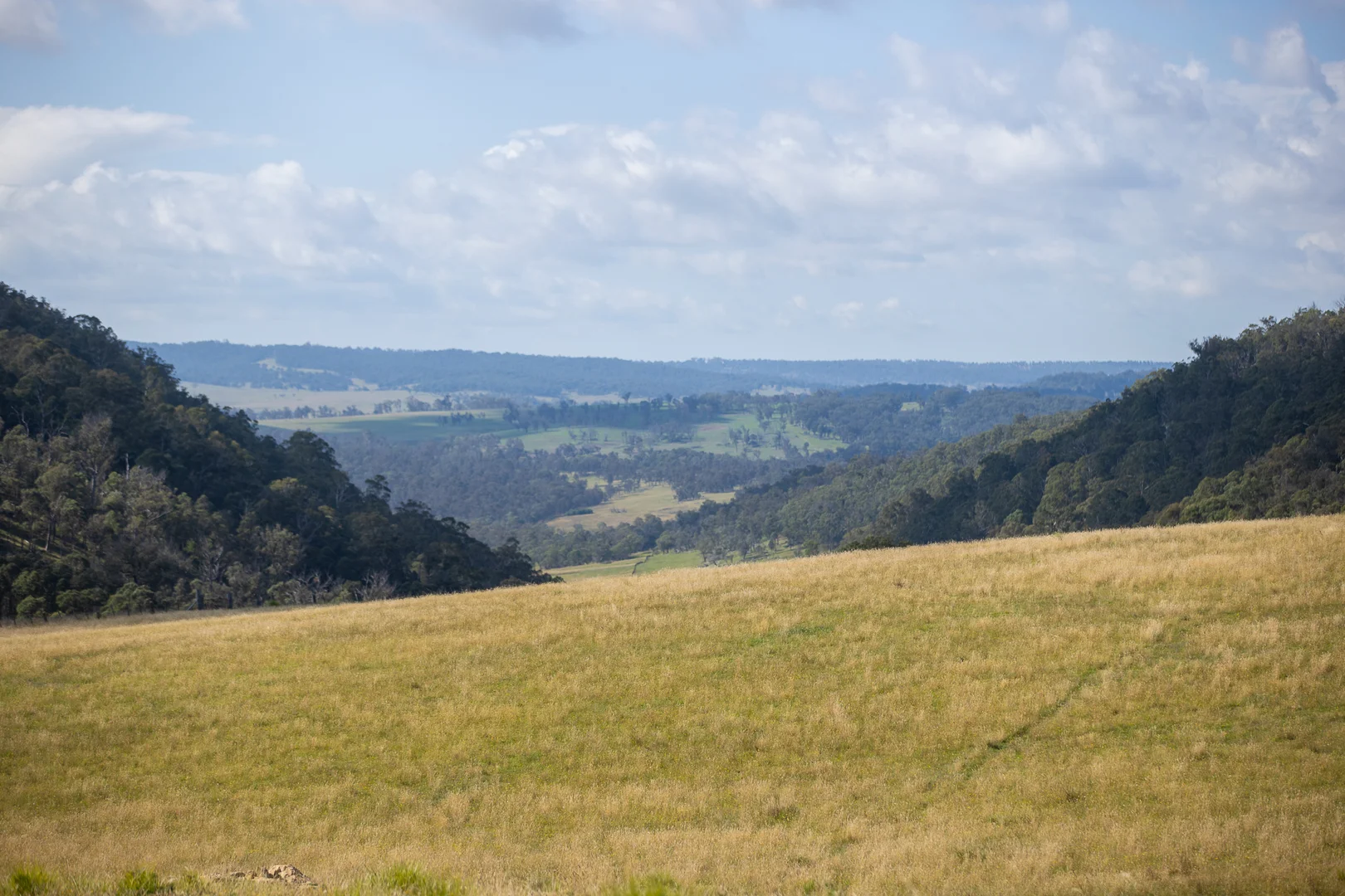 Additional image 7 of "Glen Bluff" 222 Riverview Road, Wards Mistake NSW 2350