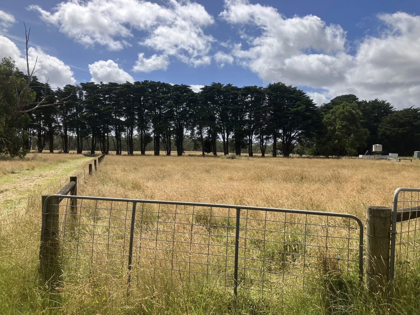 Additional image 14 of 12 Johnson Siding Rd, Greenwald VIC 3304